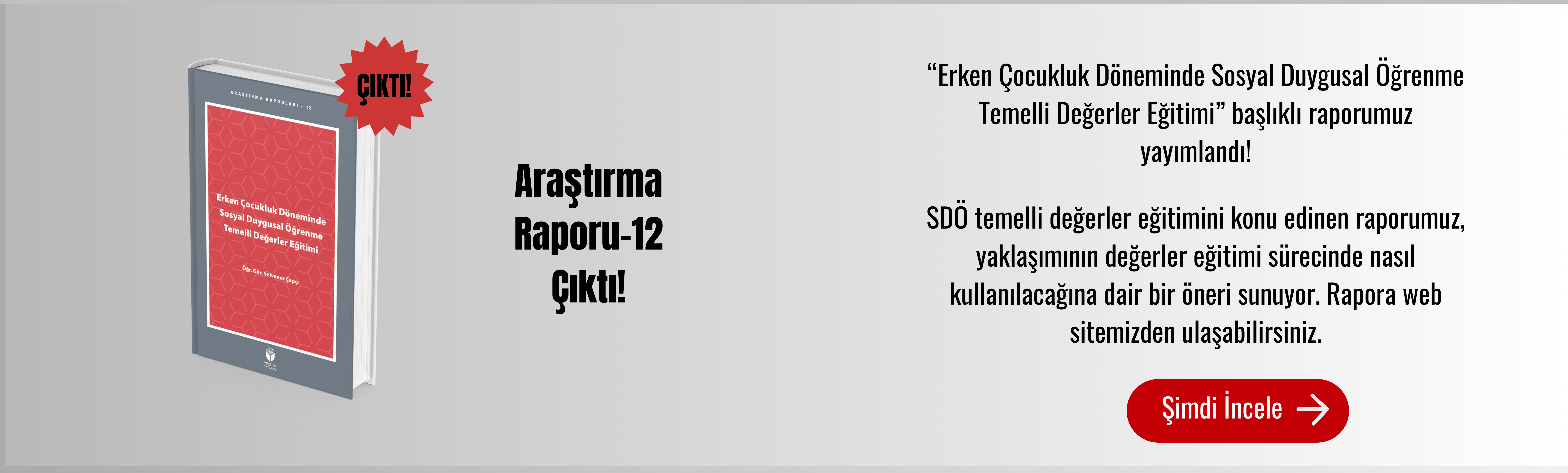 Erken Çocukluk Döneminde  Sosyal Duygusal Öğrenme Temelli Değerler Eğitimi